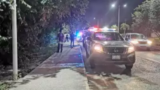 Elementos de Protección Civil acudieron a sofocar las llamas