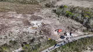 Profepa clausura predio en Tekax por desmonte ilegal de vegetación