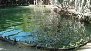 "El Corchito" se encuentra a 36 kilómetros de Mérida