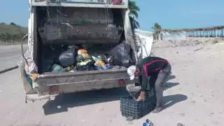Normalmente se recolectan entre las cuatro y cinco toneladas de basura
