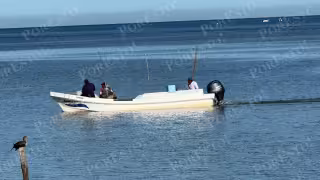 Captura es buena, pero precios siguen bajos, reportan pescadores de Champotón