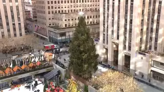 El árbol de navidad antes de ser encendido. Foto: Especial