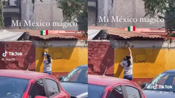 La mujer se ha hecho viral en redes sociales La mujer se ha hecho viral en redes sociales