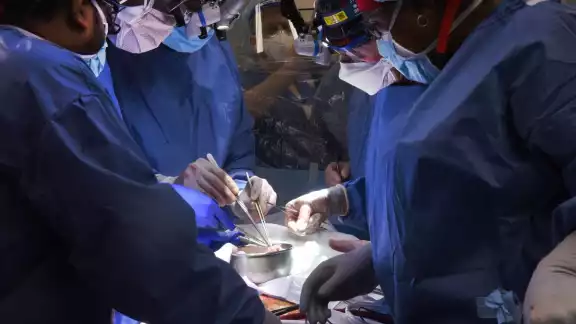 El xenotransplante fue posible gracias a la clonación y modificación genética