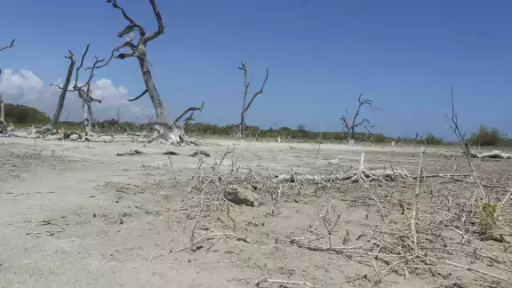 La aridez en Yucatán disminuyó en más de un 5 por ciento tras el registro de lluvias que están arriba del promedio La aridez en Yucatán disminuyó en más de un 5 por ciento tras el registro de lluvias que están arriba del promedio
