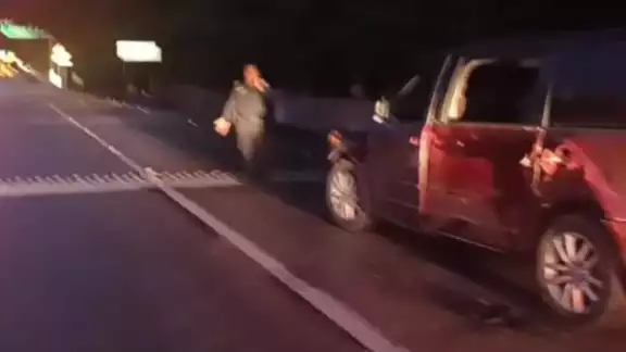 El caballo salió intempestivamente del monte El caballo salió intempestivamente del monte