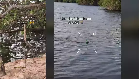 El pescador dijo que es muy a menudo se encuentra con los reptiles