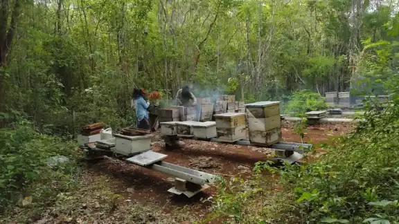 Tienen toneladas almacenadas y temen que se echen a perder