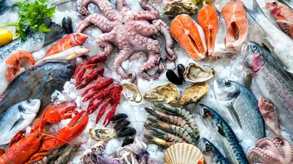 Una de las mariscadas más comunes son las que se sirven para Navidad, conócela Una de las mariscadas más comunes son las que se sirven para Navidad, conócela
