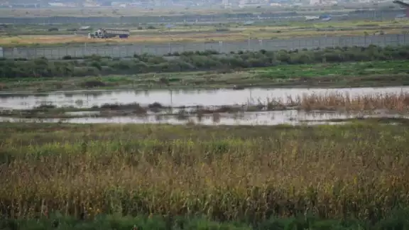 El presidente Andrés Manuel López Obrador declaró al Lago de Texcoco como Área Natural Protegida con el carácter de Área de Protección de Recursos Naturales