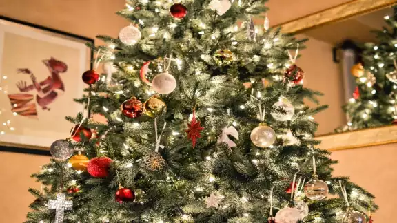 La Navidad ya está a la vuelta de la esquina y para muchos, está época del año es la más esperada La Navidad ya está a la vuelta de la esquina y para muchos, está época del año es la más esperada