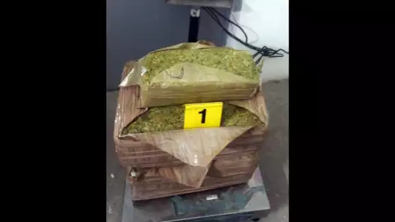 Guardia Nacional aseguro paquetes de marihuana en el aeropuerto de SLP Guardia Nacional aseguro paquetes de marihuana en el aeropuerto de SLP