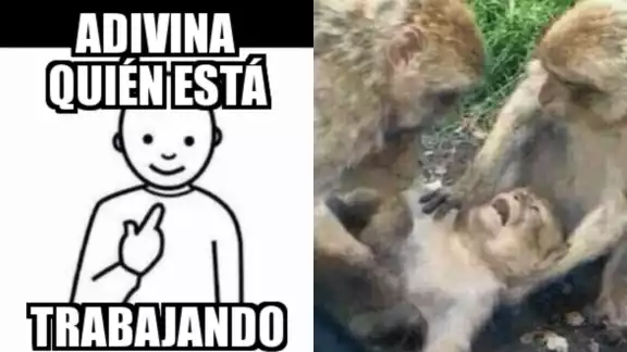Con el ingenio que caracteriza al mexicano, internautas celebraron la llegada de mayo Con el ingenio que caracteriza al mexicano, internautas celebraron la llegada de mayo