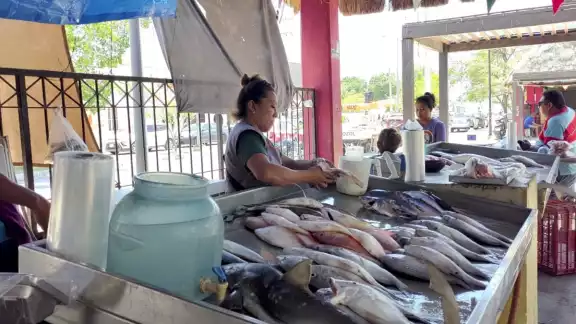 Decrece la venta de pescados tras la Semana Santa Decrece la venta de pescados tras la Semana Santa