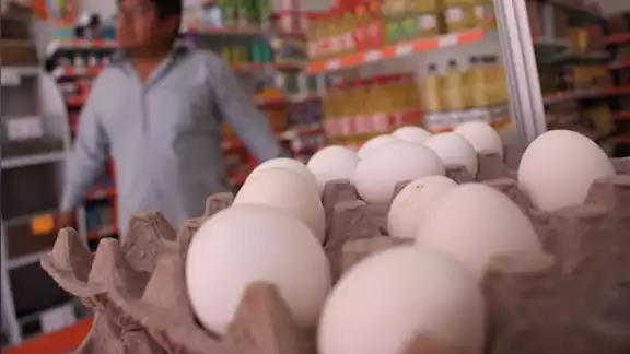 Precio del huevo va en aumento en todo el estado a causa de la gripe aviar Precio del huevo va en aumento en todo el estado a causa de la gripe aviar