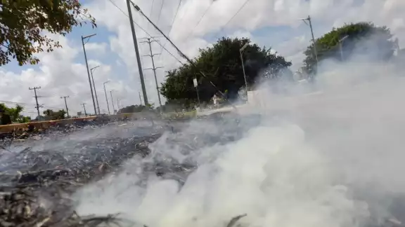 Los afectados comentaron que no es la primera vez que suceden estos incendios pues al estar rodeados de áreas verdes, aunado a que las personas dejan su basura y estos son consumida por el fuego. Los afectados comentaron que no es la primera vez que suceden estos incendios pues al estar rodeados de áreas verdes, aunado a que las personas dejan su basura y estos son consumida por el fuego.