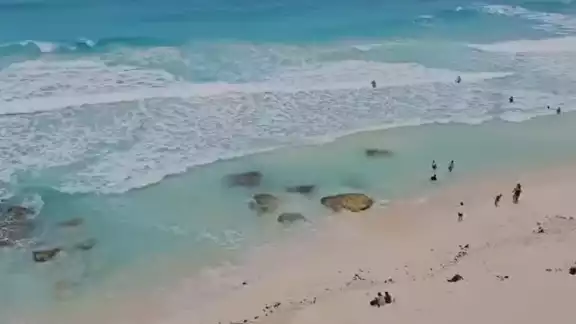 Una de las playas de Cancún se logró captar lo que parece ser un tiburón nadando en la orilla Una de las playas de Cancún se logró captar lo que parece ser un tiburón nadando en la orilla