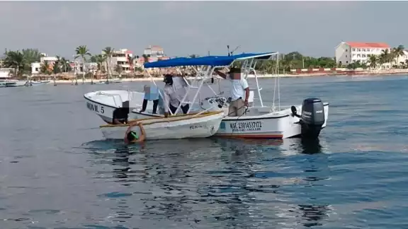 El caracol rosado está en veda hasta octubre y las estrellas de mar son una especie protegida
