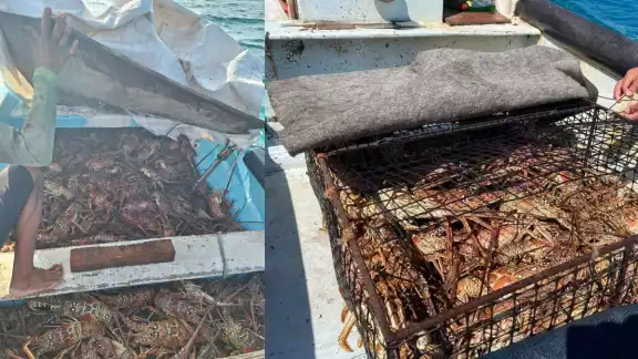 Piden renovación de los muelles de las cooperativas Isla Blanca y Makax Piden renovación de los muelles de las cooperativas Isla Blanca y Makax