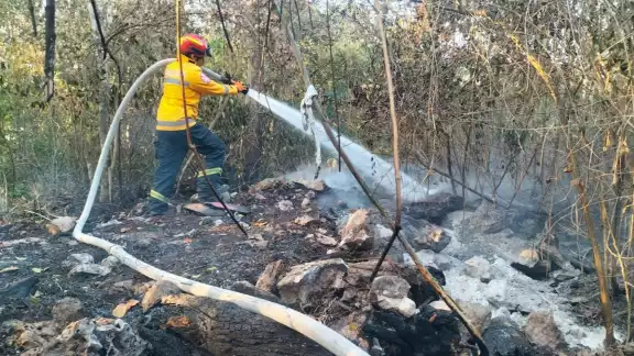Aunque se controlaron tres de estos incidentes, es fundamental que la comunidad tome medidas preventivas Aunque se controlaron tres de estos incidentes, es fundamental que la comunidad tome medidas preventivas
