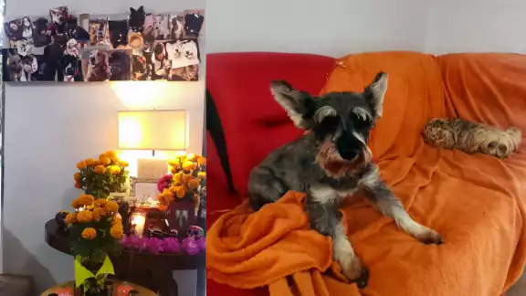 la familia celebra el Día de Muertos a su manera