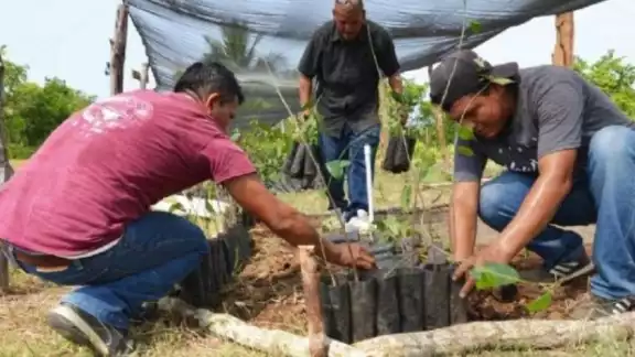 El tikln muk es una tradición maya que permite aprovechar las primeras lluvias de mayo