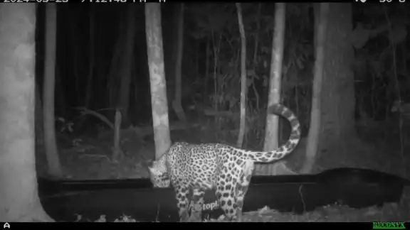 El bebedero rústico es elaborado con materiales reciclados