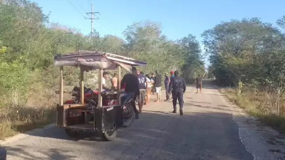 El tejón quedó inerte en la carretera El tejón quedó inerte en la carretera