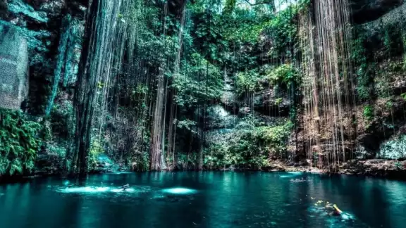 Visitar un cenote es toda una experiencia, digna de compartir