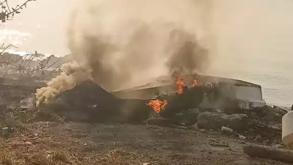 El incendio no daño el mangle que se encontraba cerca El incendio no daño el mangle que se encontraba cerca