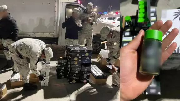 Agentes de la Guardia Nacional y la ANAM gestaron el hallazgo en Tijuana