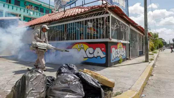 Quintana Roo es uno de los cinco estados con más casos de dengue, con más de mil 600 confirmados