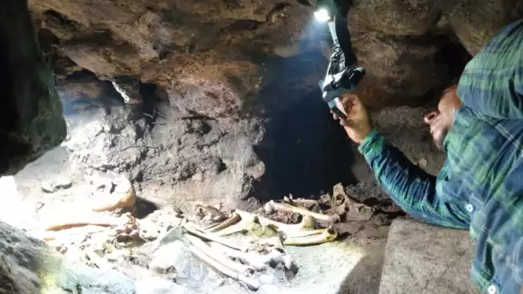 Se informó que en la parte superior de la pared de la cueva se encontró un caracol marino Se informó que en la parte superior de la pared de la cueva se encontró un caracol marino