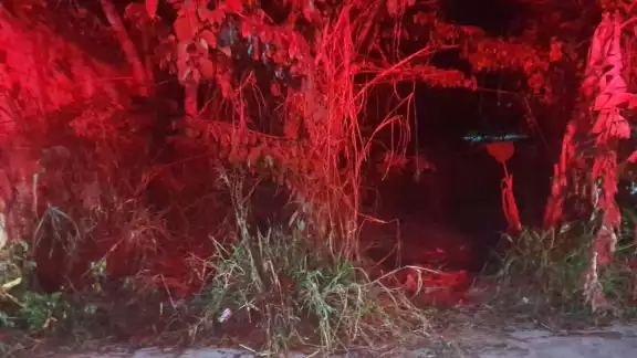 Una mujer fue atacada en Escárcega