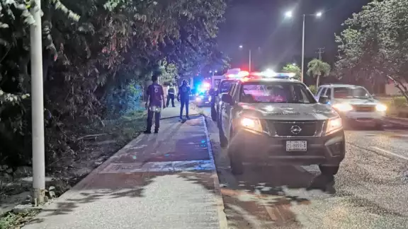 Elementos de Protección Civil acudieron a sofocar las llamas Elementos de Protección Civil acudieron a sofocar las llamas