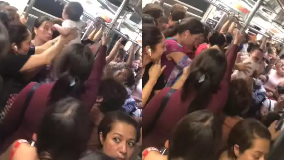 El video suma más de dos millones de vistas en TikTok El video suma más de dos millones de vistas en TikTok