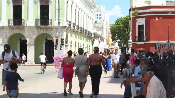 La Península de Yucatán cuenta con tres principales tipos de selvas
