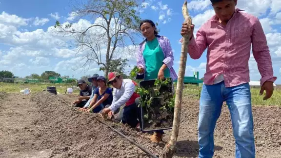 Los productores han perdido hasta 10 mil pesos en los sembrados