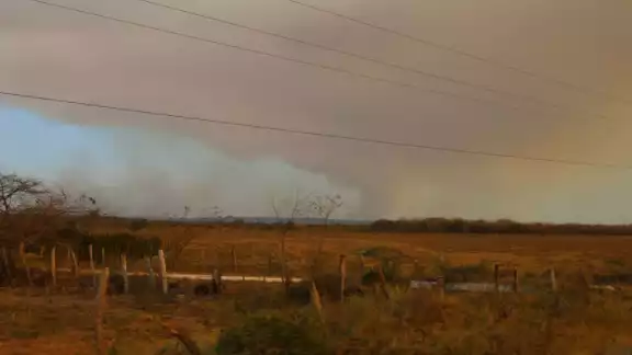 Sólo el 15 por ciento del área afectada ha logrado ser sofocado