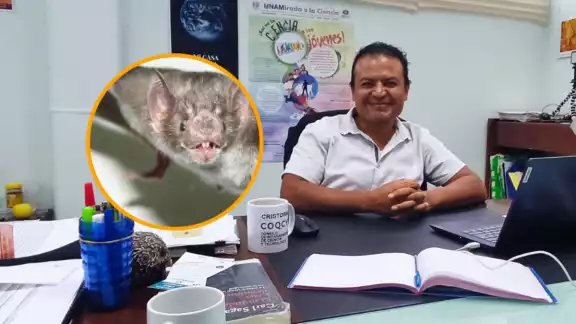 Ningún turista que visita cenotes debe de temer a los murciélagos, dijo el Director del Planetario 'El Sayab'