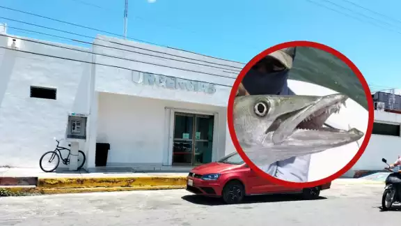 Los peces que comúnmente se consumen en la isla son la barracuda, es por eso que se debe estar atentos de los síntomas Los peces que comúnmente se consumen en la isla son la barracuda, es por eso que se debe estar atentos de los síntomas