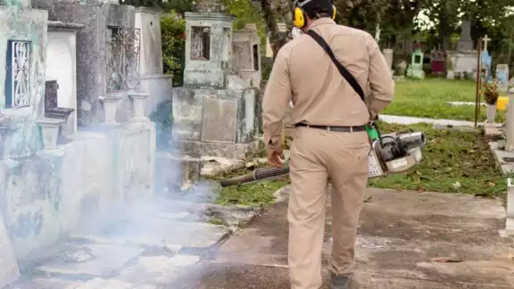 Las fumigaciones comenzaron el pasado lunes 21 de agosto