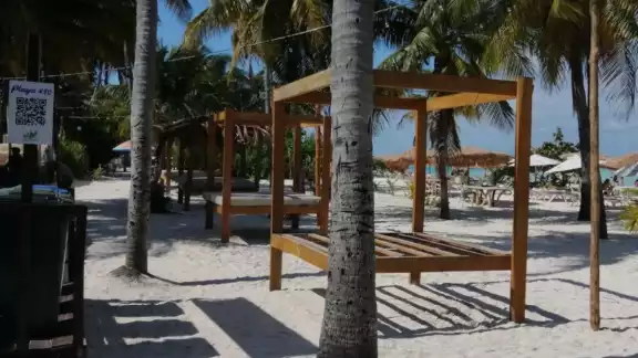 Los camastros ocupan casi toda la playa Los camastros ocupan casi toda la playa