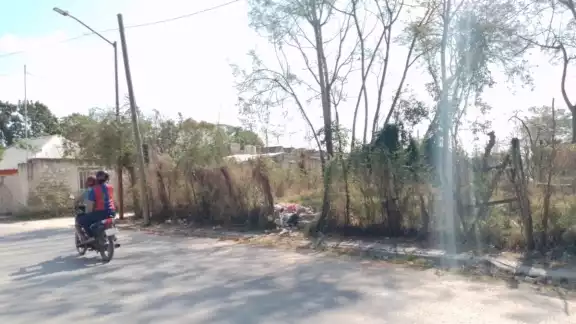Los vecinos culpan a los dueños de los terrenos por no limpiarlos Los vecinos culpan a los dueños de los terrenos por no limpiarlos