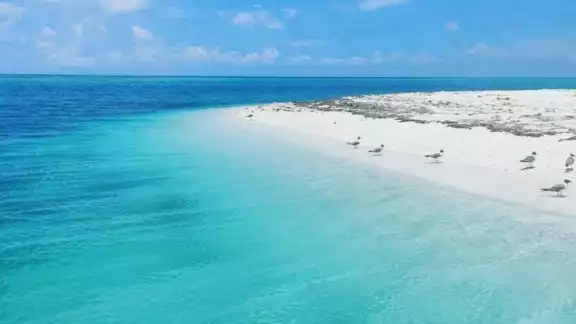 Esta playa se encuentra frente al puerto de Progreso Esta playa se encuentra frente al puerto de Progreso