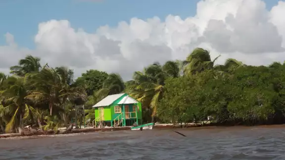 El arribo de grandes cantidades de sargazo cada año ha generado que las playas se erosionen, por lo que algunas viviendas han quedado frente al mar