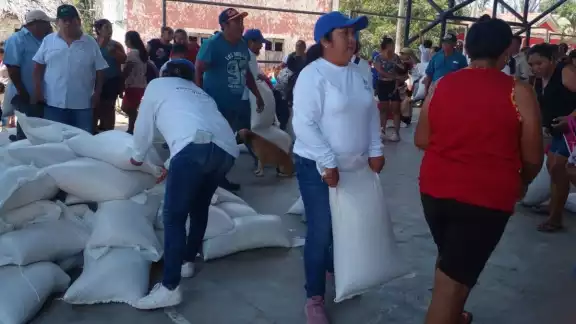 Así lucirían las semillas entregadas en las actividades de campaña de Renán Barrera Así lucirían las semillas entregadas en las actividades de campaña de Renán Barrera