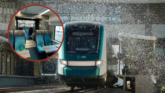 El Tren Maya cuenta con cómodos asientos para los trayectos largos El Tren Maya cuenta con cómodos asientos para los trayectos largos