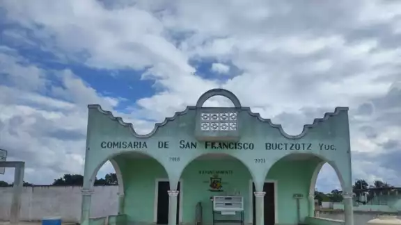 El animalito fue puesto en libertad