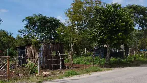 Los líderes invasores están revendiendo los lotes en 5 mil pesos Los líderes invasores están revendiendo los lotes en 5 mil pesos